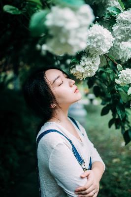 成全免费高清在线观看电视剧